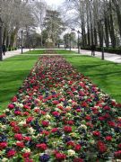 Jardines de El Retiro. Madrid